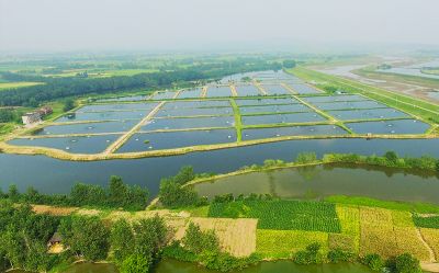 萬畝出口加工原料養殖基地